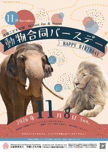 動物11月合同バースデー！