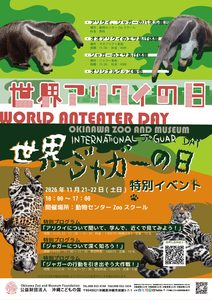 国際ジャガーの日＆世界アリクイの日イベント